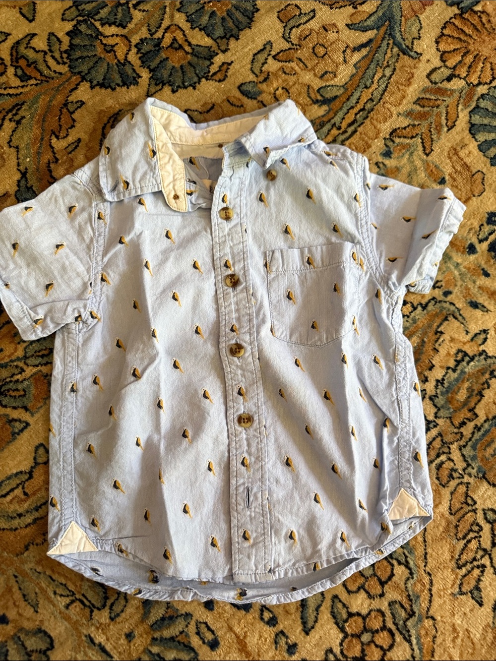 Kids Light Blue Short-Sleeve Button-Up Shirt with Yellow Bird Embroidery 3y 🦉